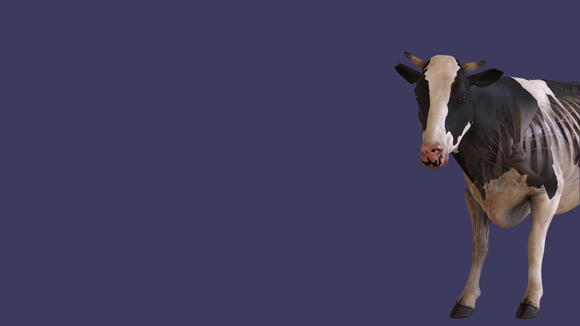 The largest library of science 3D models Corinth